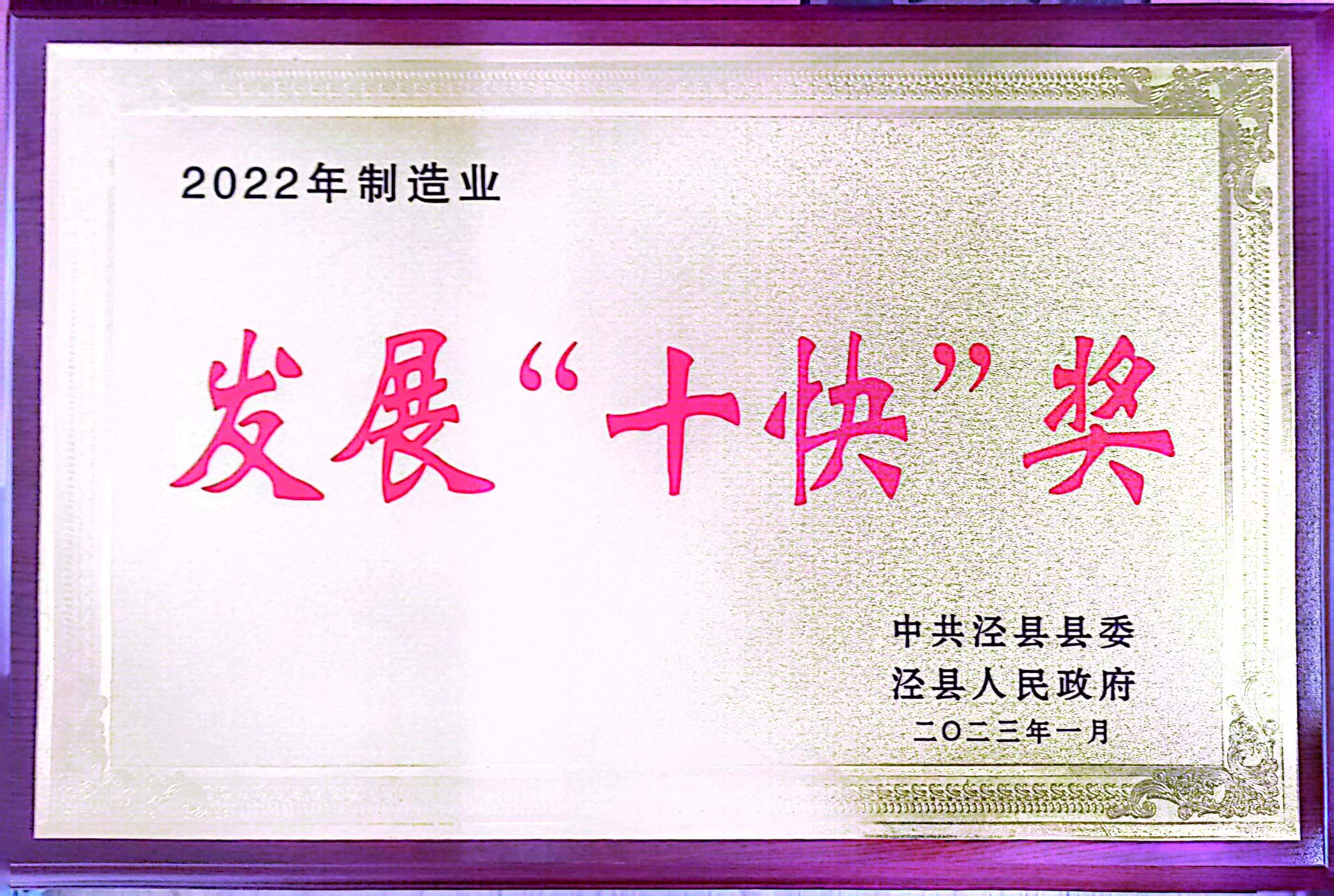 發(fā)展十“快”獎